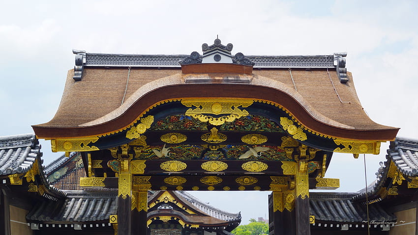ปราสาท Nijo, Tokugawa, มรดกโลก, ปราสาทญี่ปุ่น, มรดกโลกทางวัฒนธรรม, KYOTO, UNESCO, เว็บไซต์หลักเกณฑ์ทางวัฒนธรรม วอลล์เปเปอร์ HD