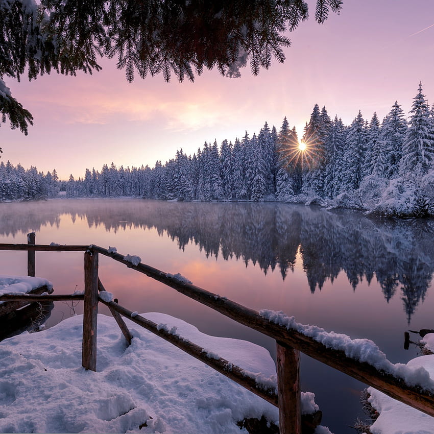 ฤดูหนาว หิมะ ต้นไม้ ธรรมชาติ กลางแจ้ง จอ iPad Pro Retina , , พื้นหลัง และ วอลล์เปเปอร์โทรศัพท์ HD