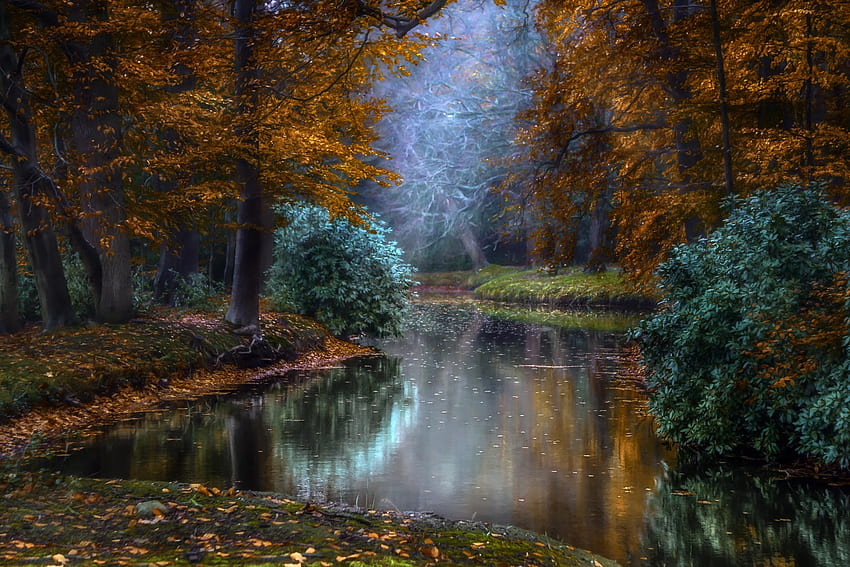 Autumn Park, Holland, Pond, Lights, Autumn HD wallpaper
