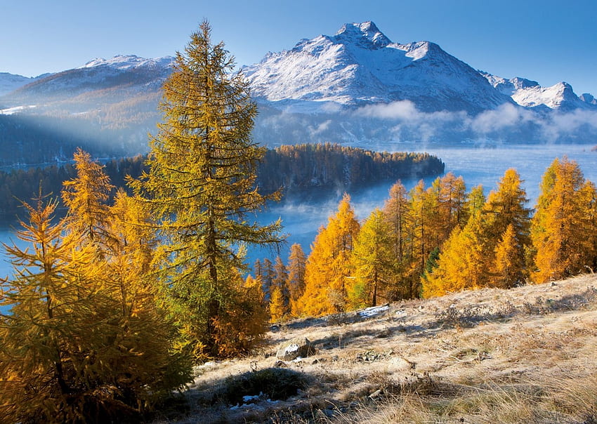 Езеро Силзер, Швейцария, слънце, есен, планини, алпи HD тапет