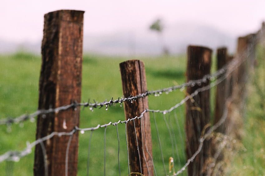 Drops, , , Fence, Barbed Wire HD wallpaper
