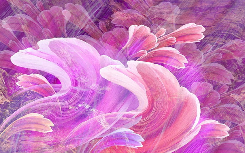 Possibility, petals, flower HD wallpaper