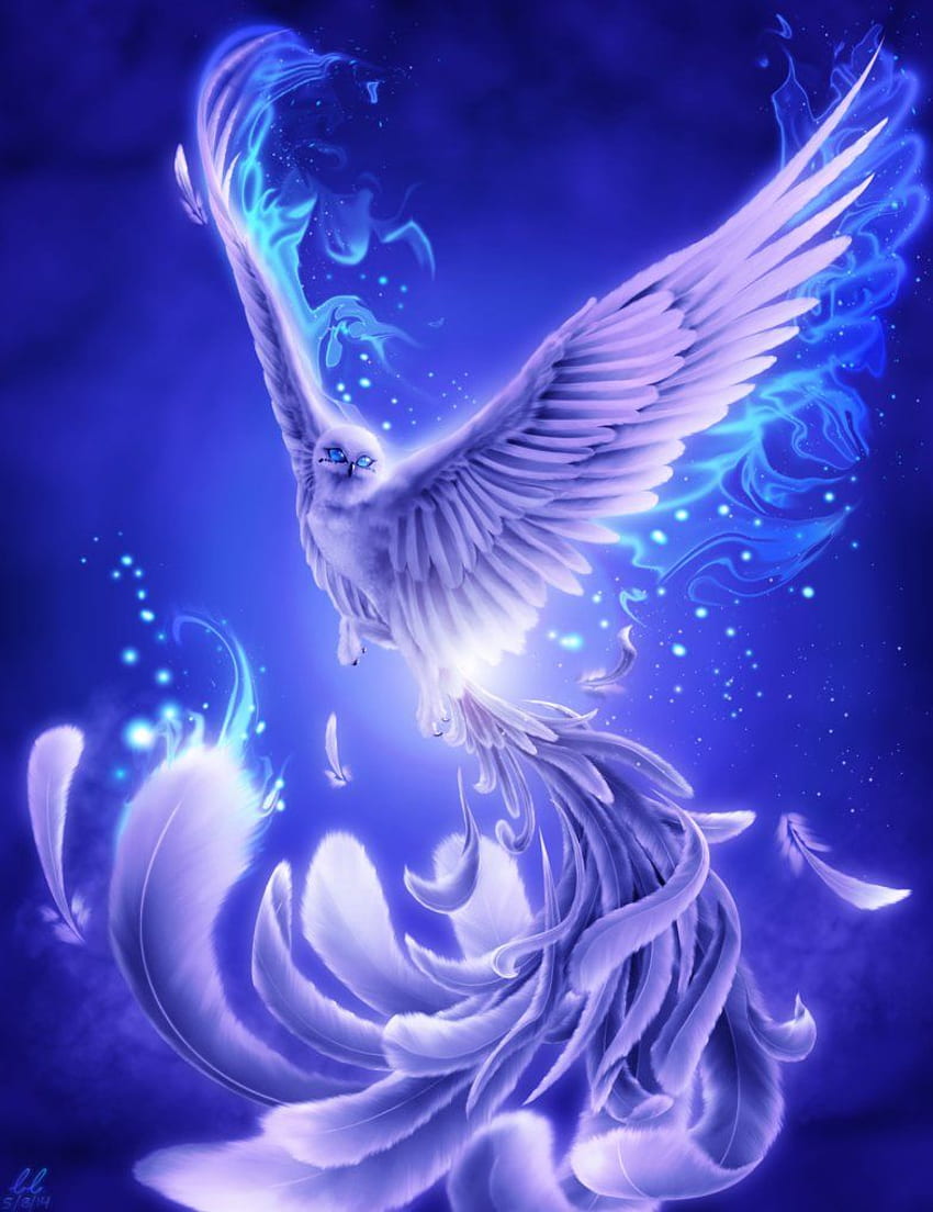 Ideas de tatuajes de ave fénix. tatuaje de phoenix, tatuajes, diseño de tatuaje de phoenix, Phoenix lindo fondo de pantalla del teléfono