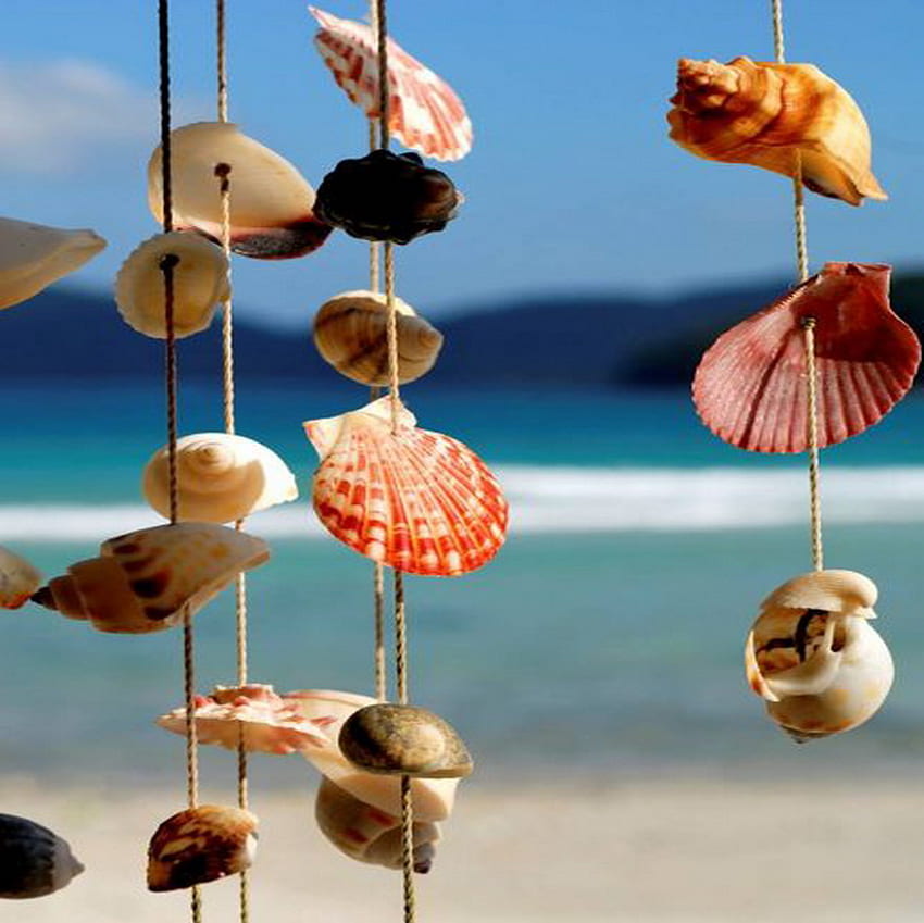 sound of summer, sea, shell, summer, beach HD wallpaper