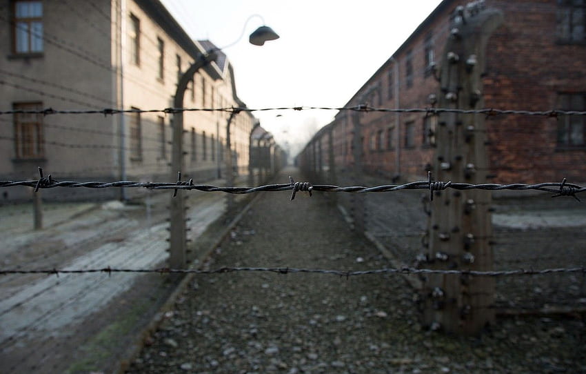 dom, morte, Auschwitz, fascismo para , seção разное papel de parede HD