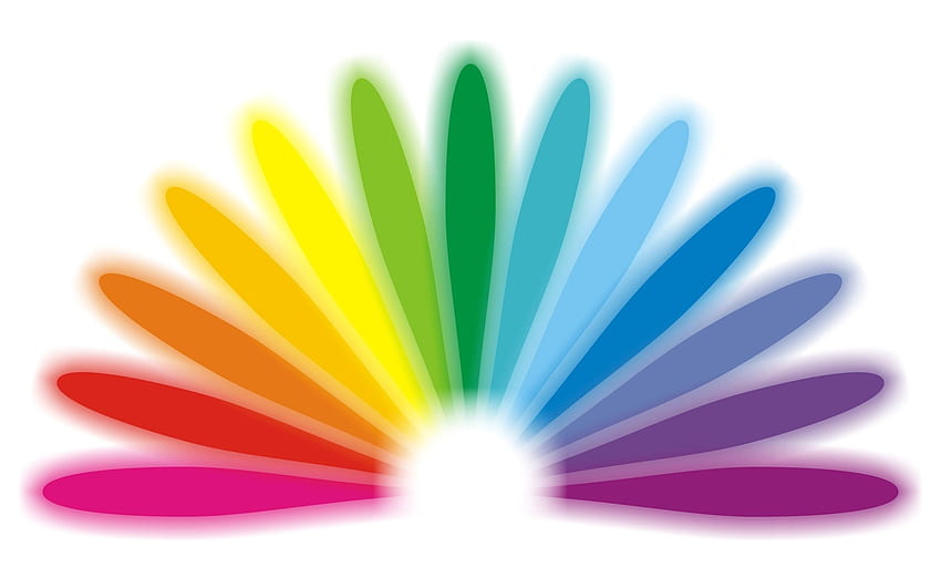 This - Colourful Semi Circle Logo - & Background HD wallpaper