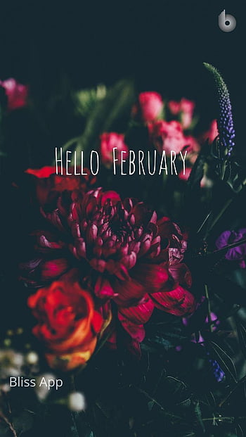 Hello February Wallpapers  Wallpaper Cave