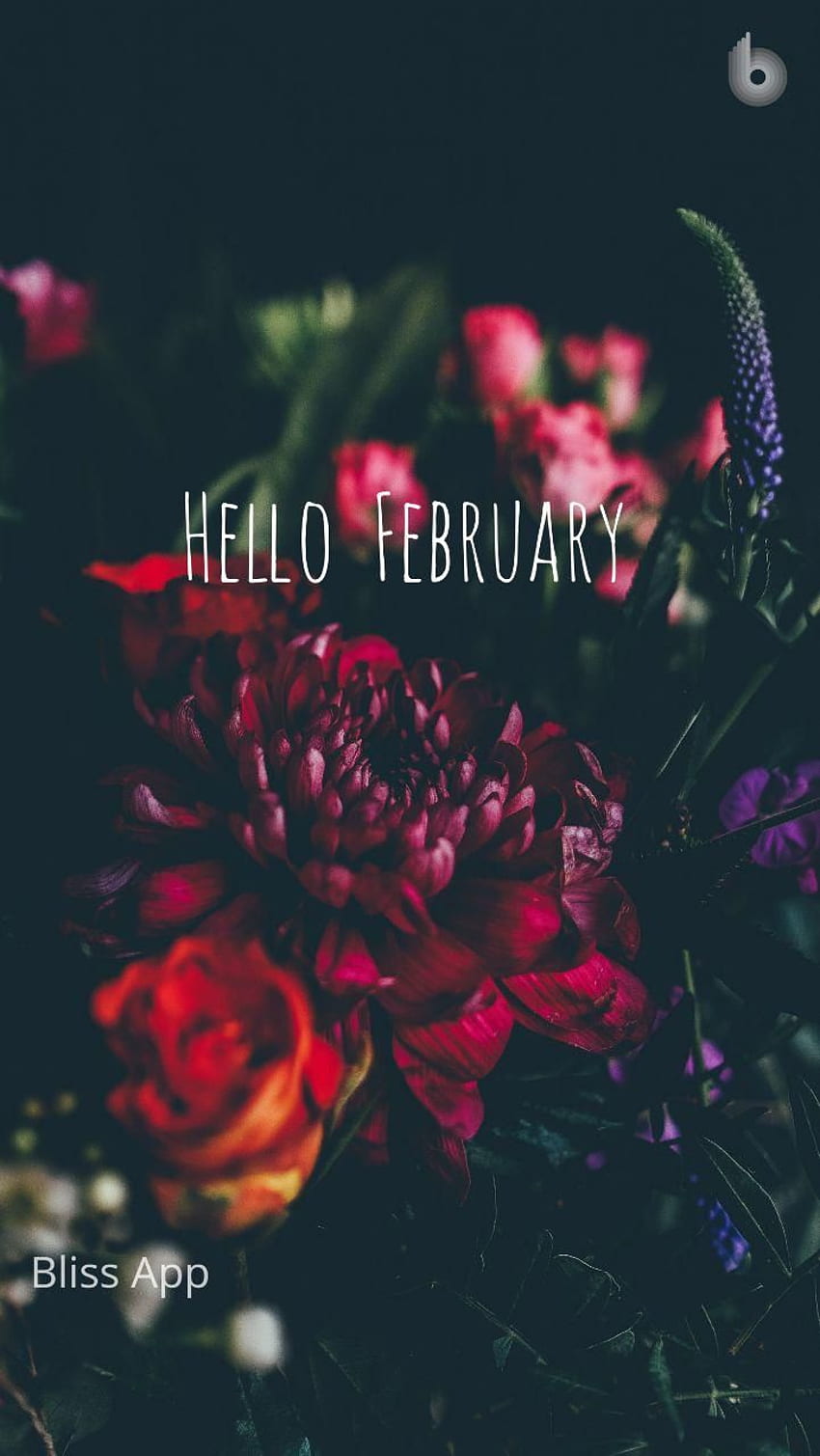 Hello guys, Check out my app. February special HD phone wallpaper