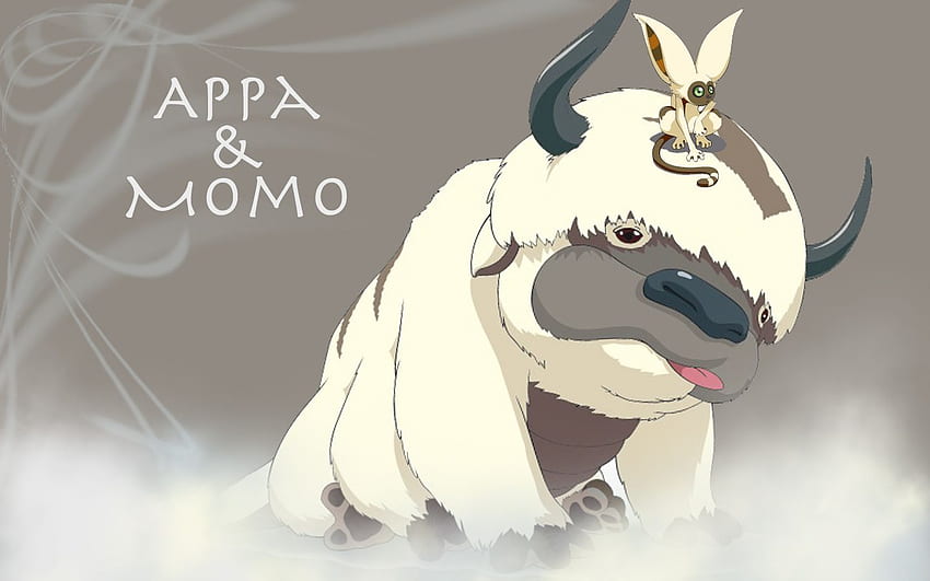 Momo . Momo Avatar, Appa HD wallpaper | Pxfuel