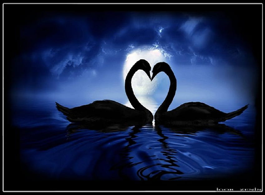 Любов в синьо, синьо, лебеди, облаци, партньори, небе, вода, форма на сърце HD тапет