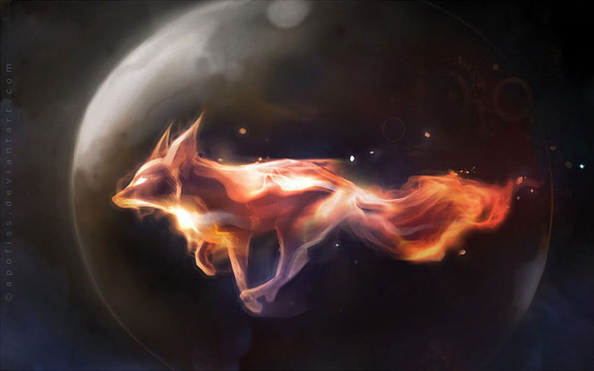 fox in space. Burning Fox In Space . SPACE, Cool Fox HD wallpaper