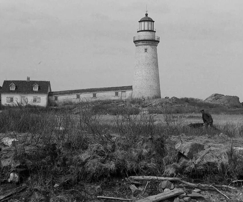 The Lighthouse (2019), The Lighthouse Film HD wallpaper