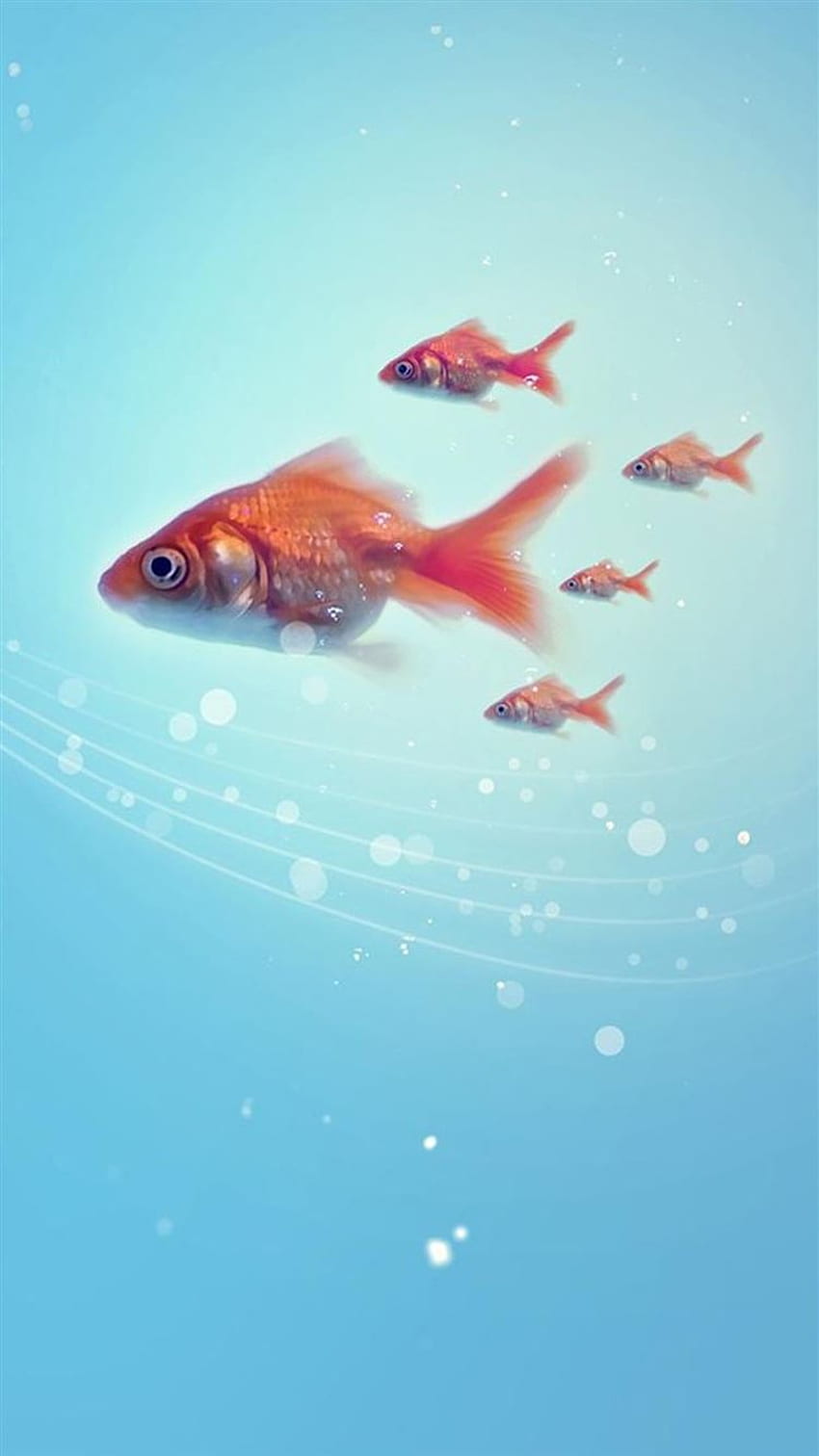 Reiner einfacher Unterwasser-Goldfisch, der iPhone 8 schwimmt HD-Handy-Hintergrundbild