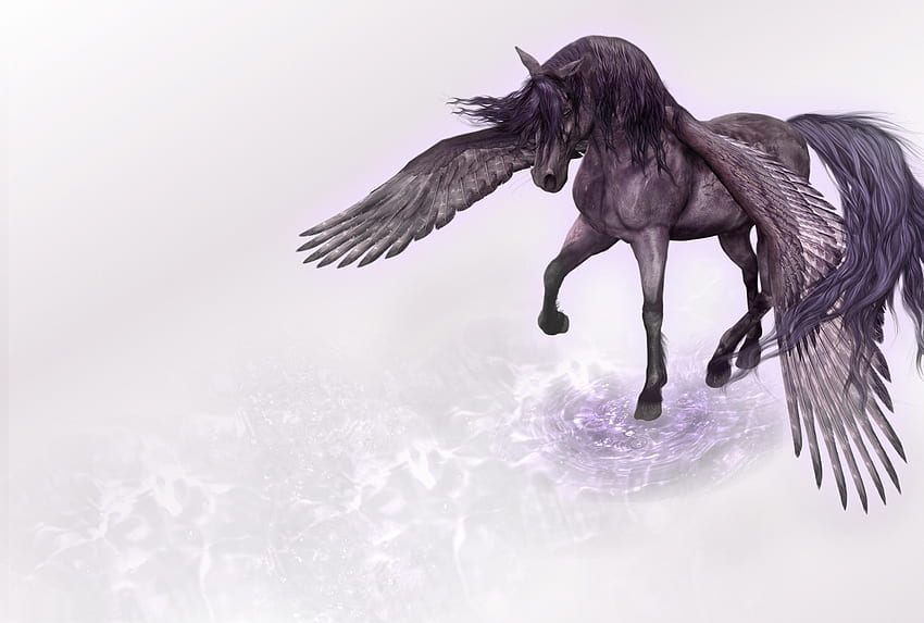 Water, Fantasy, Wings, Horse, Pegasus HD wallpaper