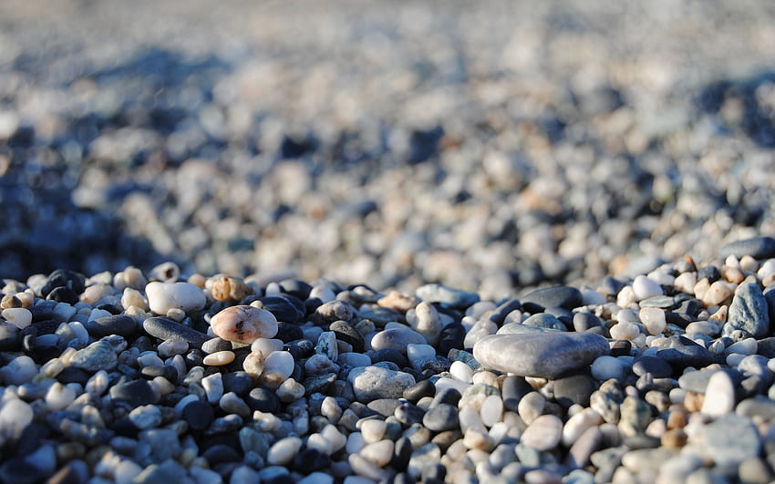 돌, 매크로, 얕은, 작은, 모래 사장 HD 월페이퍼