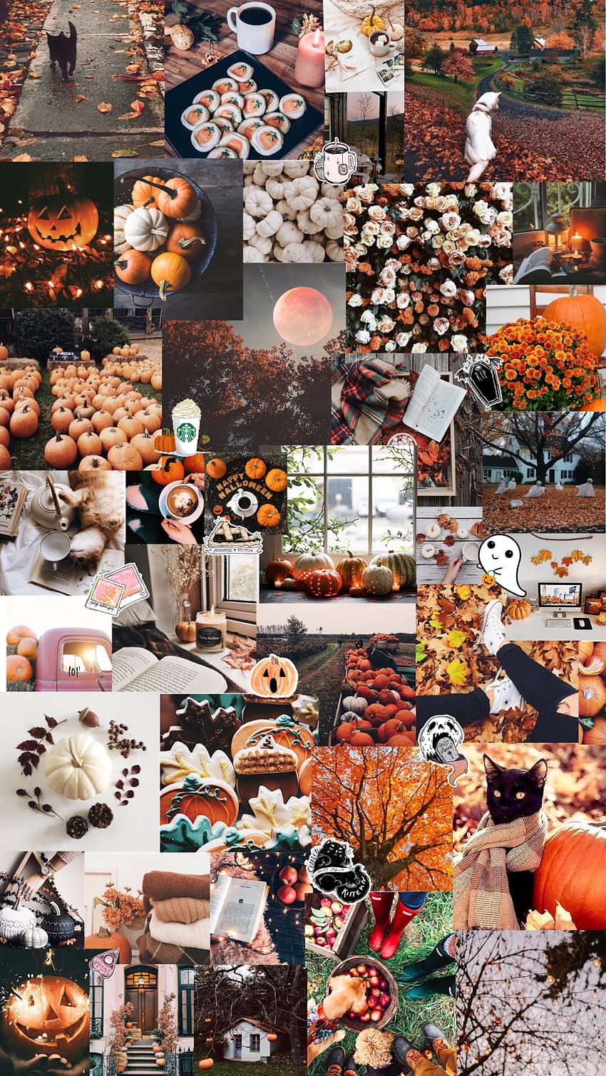 есен/хелоуин естетически фон. Сладка есен, есенен tumblr, есен, есенен колаж HD тапет за телефон