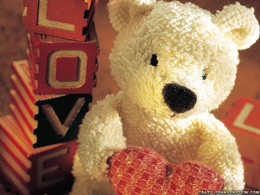 Beautiful : Beautiful Teddy Bear For, Cute Bear HD wallpaper