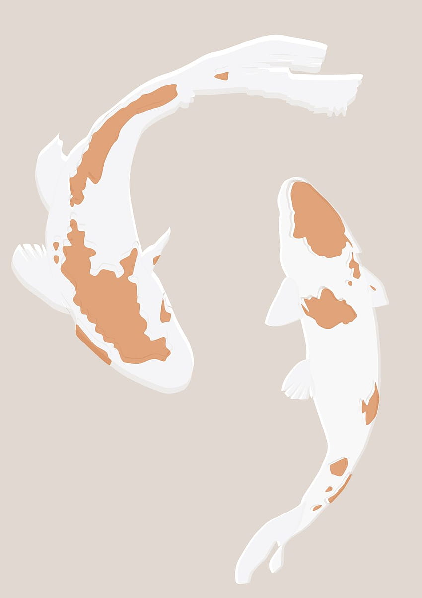 Japon Koi'si. Minimalist Tasarım. Koi sanatı, Koi balığı çizimi ve Balık çizimi HD telefon duvar kağıdı