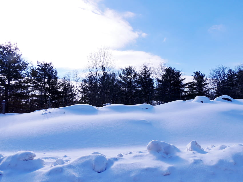 Winter Field, Sky, Snow, graphy, Winter, Trees, Field, Nature HD wallpaper