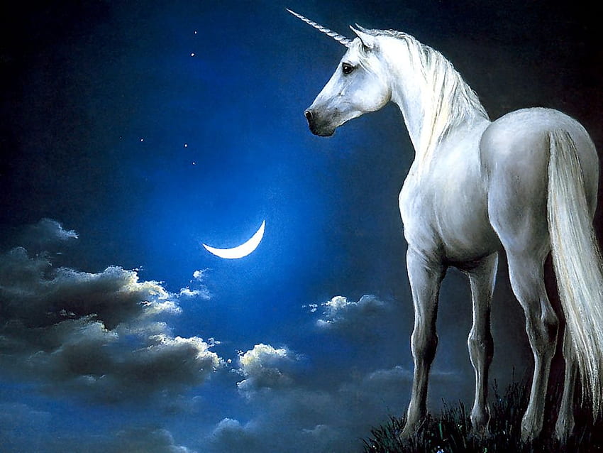 Index of /unicorns, Unicorn Asli Wallpaper HD