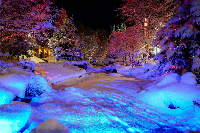 Зимна страна на чудесата Зимна природа Фон на. Зимна страна на чудесата, Коледа, Зимни дървета HD тапет