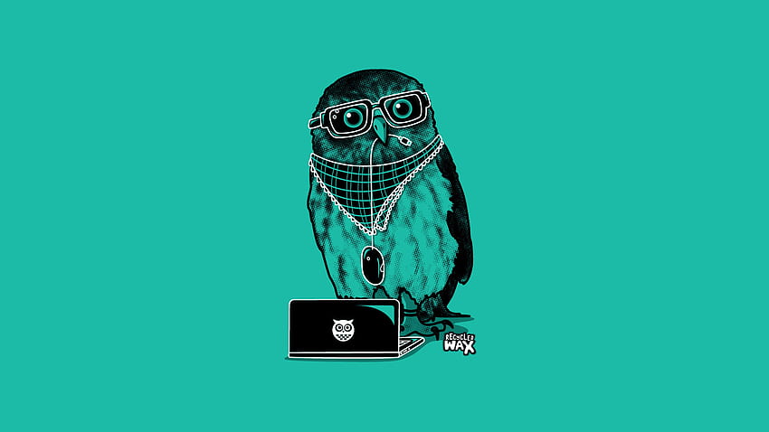 Owls Birds animal Vector Graphics, Cartoon Owl HD wallpaper