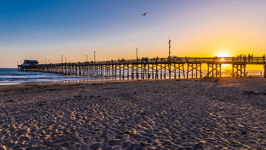 USA Newport Beach beaches Nature Bridges HD wallpaper | Pxfuel