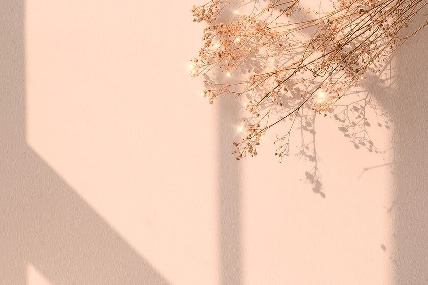 Бежов искрящ фон от сухи цветя. / Нин през 2021 г. Розово , Розов лаптоп, Естетично, Кафяво цвете HD тапет