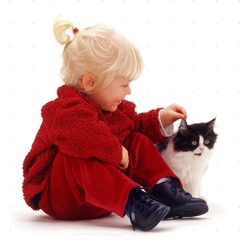 Mädchen streichelt ein Kätzchen, Katzen, Kätzchen, Mädchen, Tiere HD-Hintergrundbild