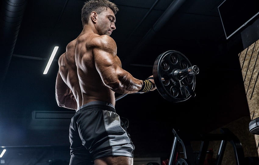 kekuatan, pose, punggung, kebugaran, gym untuk , bagian мужчины, Kebugaran Fisik Wallpaper HD