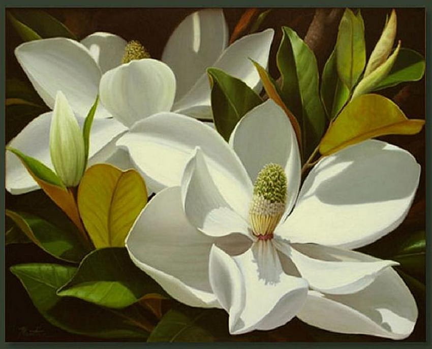 For Cherie, strong, beautiful, cherie, friendship, lovely, magnolias HD wallpaper