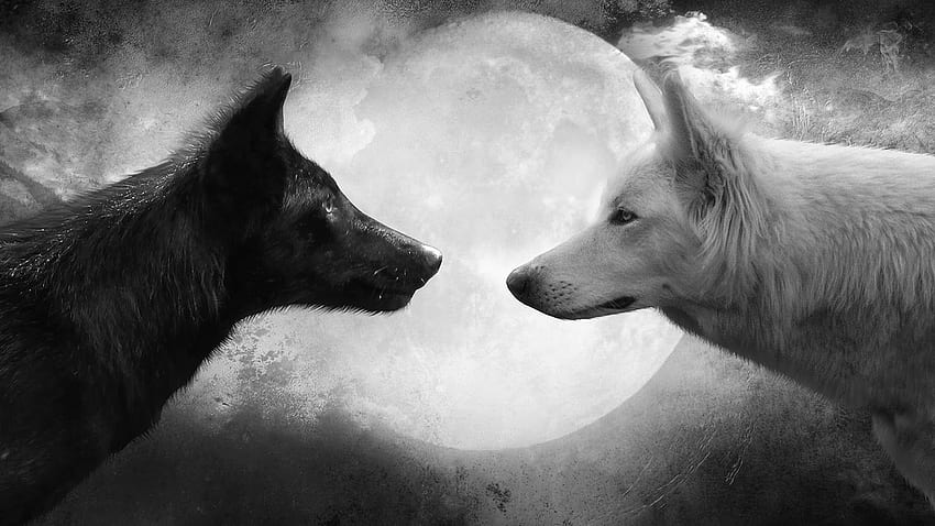 White Wolf : Two Wolves - Native American Legends (Video), Native American Werewolf HD wallpaper