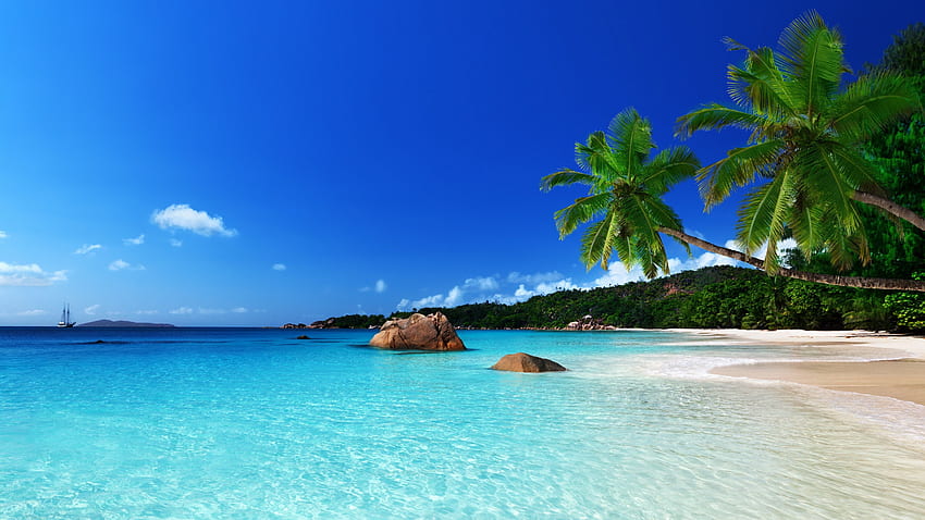 Pemandangan Pantai Tropis - Resolusi Tinggi Wallpaper HD