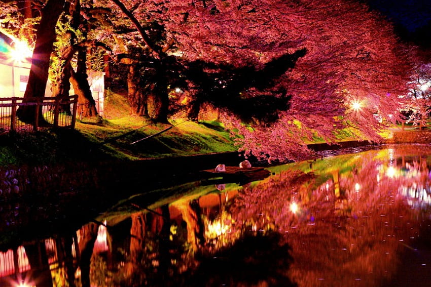 조명이 켜진 가을 공원, 조명, 연못, 나무, 자연, 공원 HD 월페이퍼