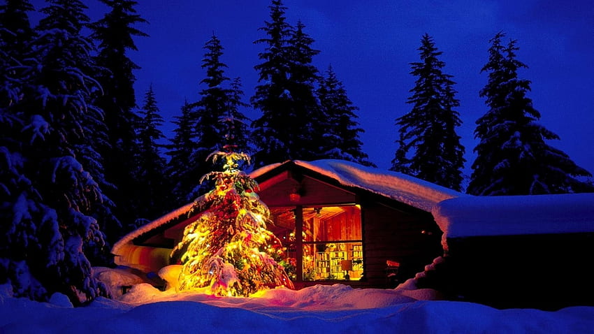 Cabane de Noël et arbre dans la neige profonde - Paysages de Noël et fond d'ordinateur Fond d'écran HD