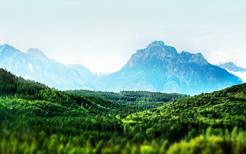 Nature, Trees, Mountains, Fog HD wallpaper