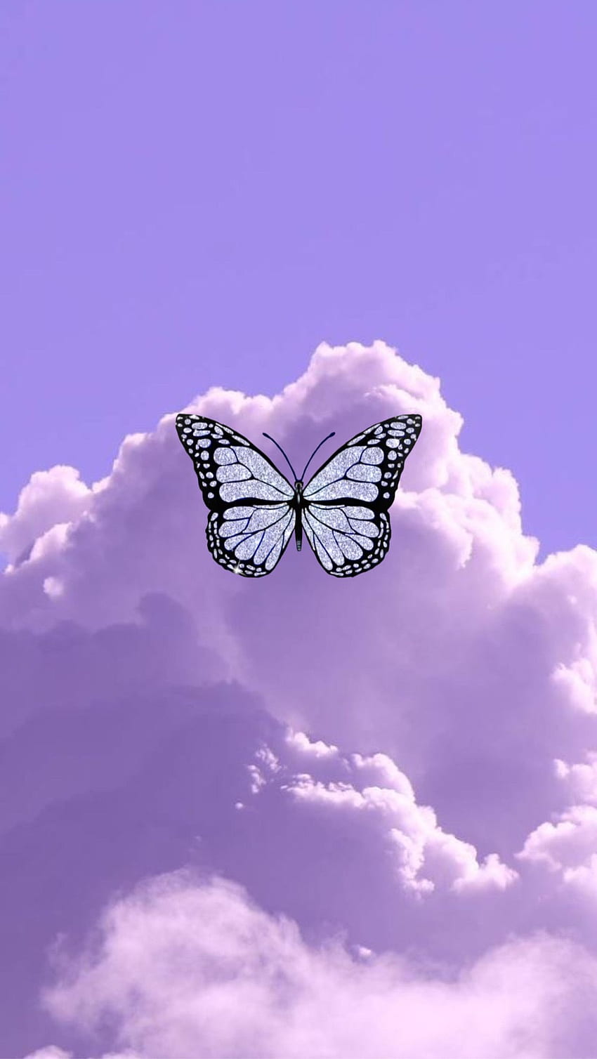 500 Black And Purple Butterflies Wallpapers  Background Beautiful Best  Available For Download Black And Purple Butterflies Images Free On  Zicxacomphotos  Zicxa Photos