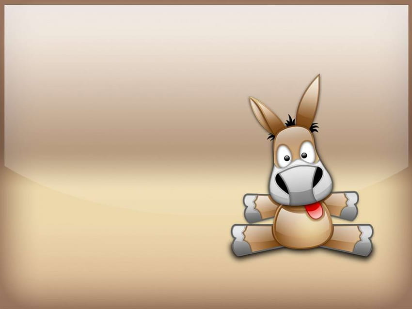 Donkey, funny, humor, silly HD wallpaper