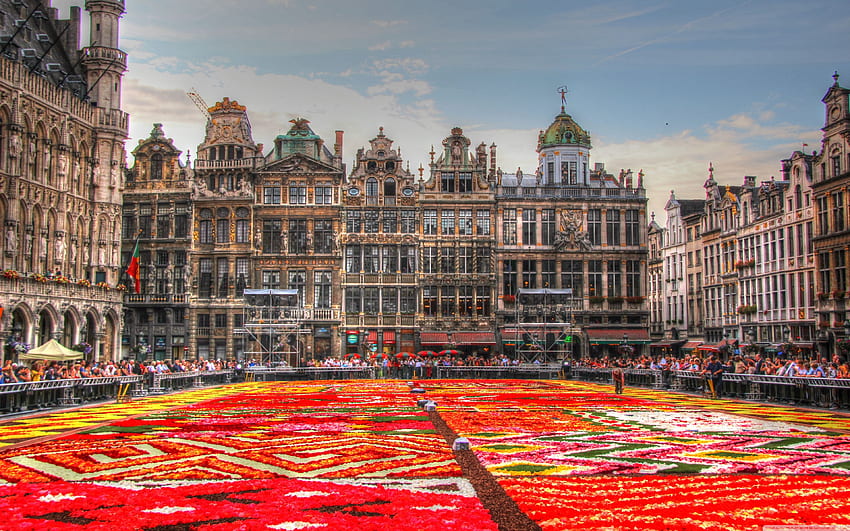 Blumenteppich – Grand Place – Brüssel, Belgien Ultra-Hintergrund für U-TV: Breit & UltraWide & Laptop: Tablet: Smartphone HD-Hintergrundbild