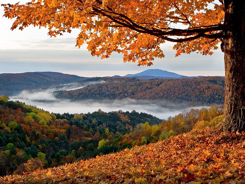 Най-добрите места за разглеждане на есенна зеленина във Върмонт. Върмонт и Бъкетс HD тапет