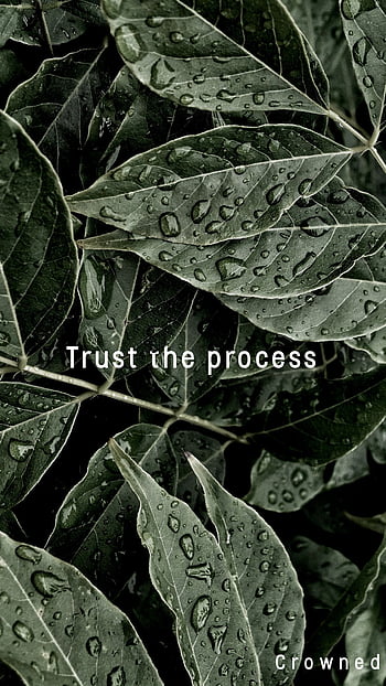 Trust The Process Wallpapers - Wallpaper Cave