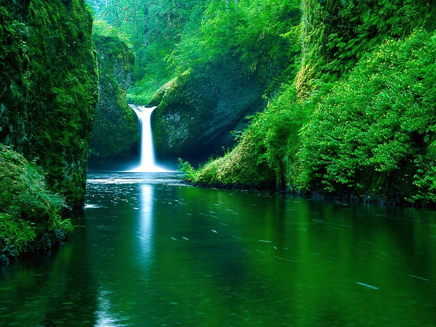 地球の滝の森の水緑の大地。 スタイル、緑がかった 高画質の壁紙