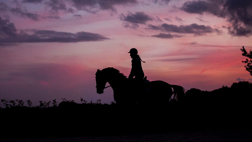 silhueta, escuro, jóquei, cavalo, Horse Sunset papel de parede HD