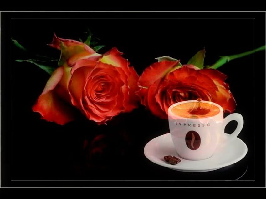 espresso, coffee, roses, red HD wallpaper