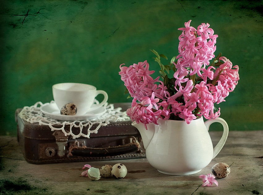 still life, bouquet, graphy, lace, eggs, spring, hyacinths, nice, suitcase, flower, glass, , water, beautiful, pink, old, pretty, cool, flowers, lovely, hyacinth, harmony, porcelain HD wallpaper
