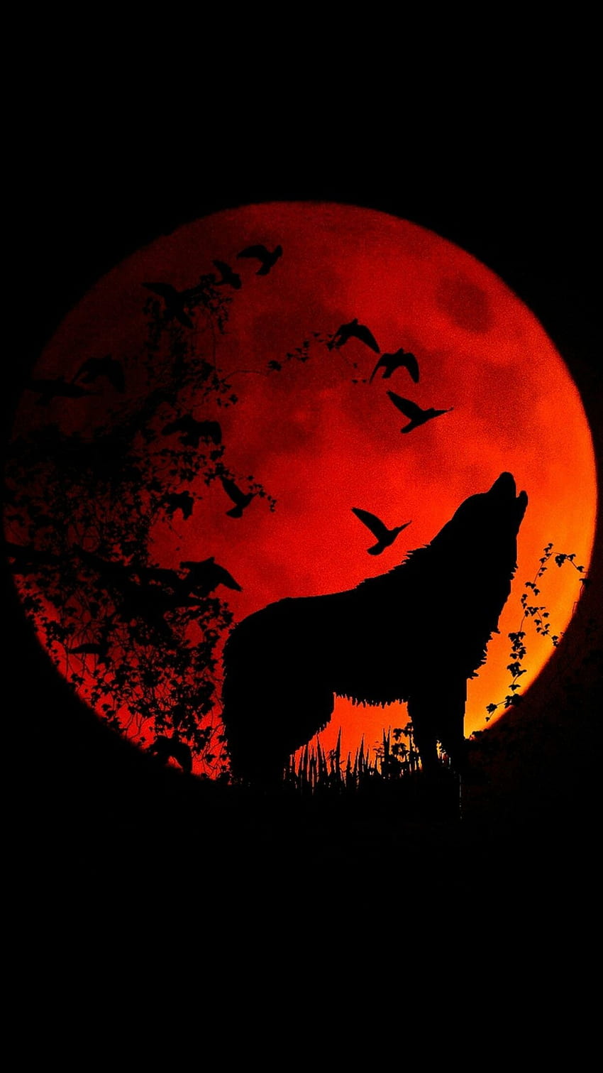 Кървава луна Истински вълк, Пурпурна луна HD тапет за телефон