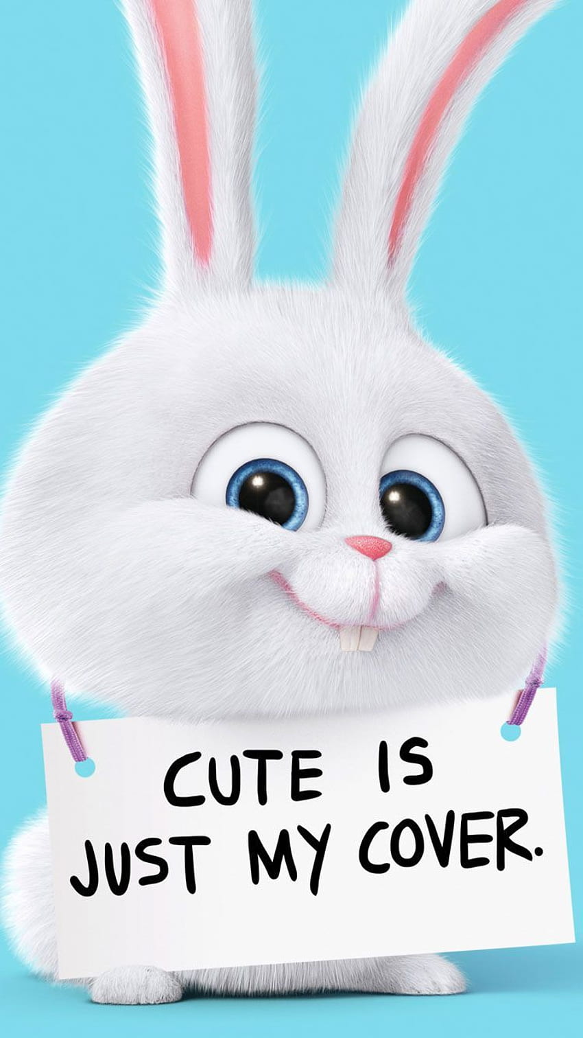 Best Latest Cool iPhone 6 & Background of 2016. Bunny, Cute cartoon, Rabbit, Funny Rabbit Fond d'écran de téléphone HD