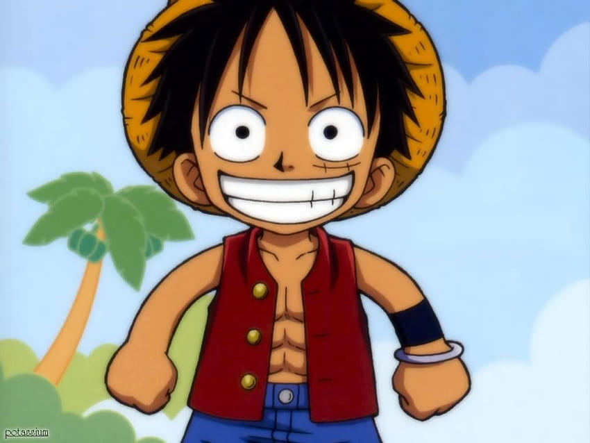 One Piece Luffy Kid. Luffy, Anime, Crianças HD wallpaper