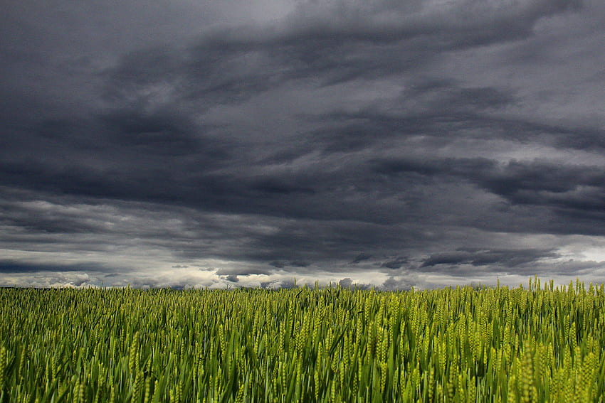 / chmury letnie chmury burzowe tworzą ciemne chmury Tapeta HD