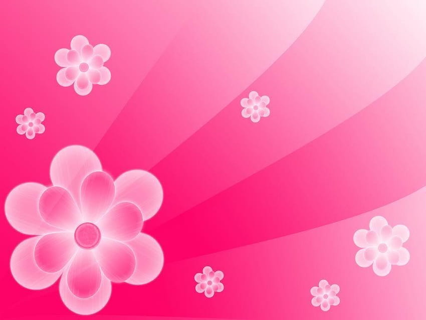 Light Pink Flower Background, Light Pink Floral HD wallpaper